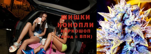 молекула духа Балахна