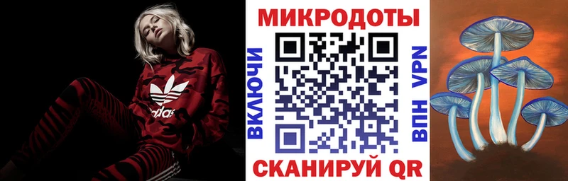 Купить где  Славск  Псилоцибиновые грибы MAGIC MUSHROOMS 